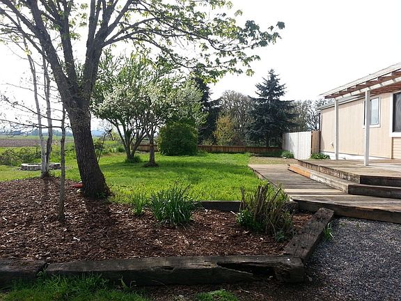 Front yard