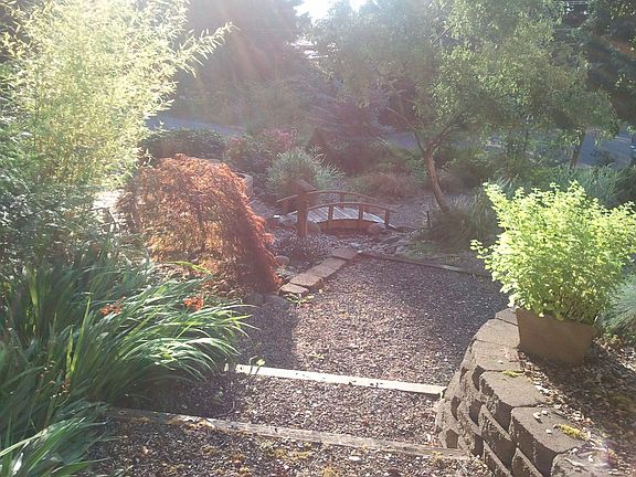 Front yard