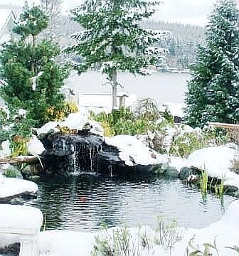 Winter View from Living/Dining/Kitchen