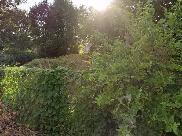 2534 N Mutter St, Philadelphia, PA 19133