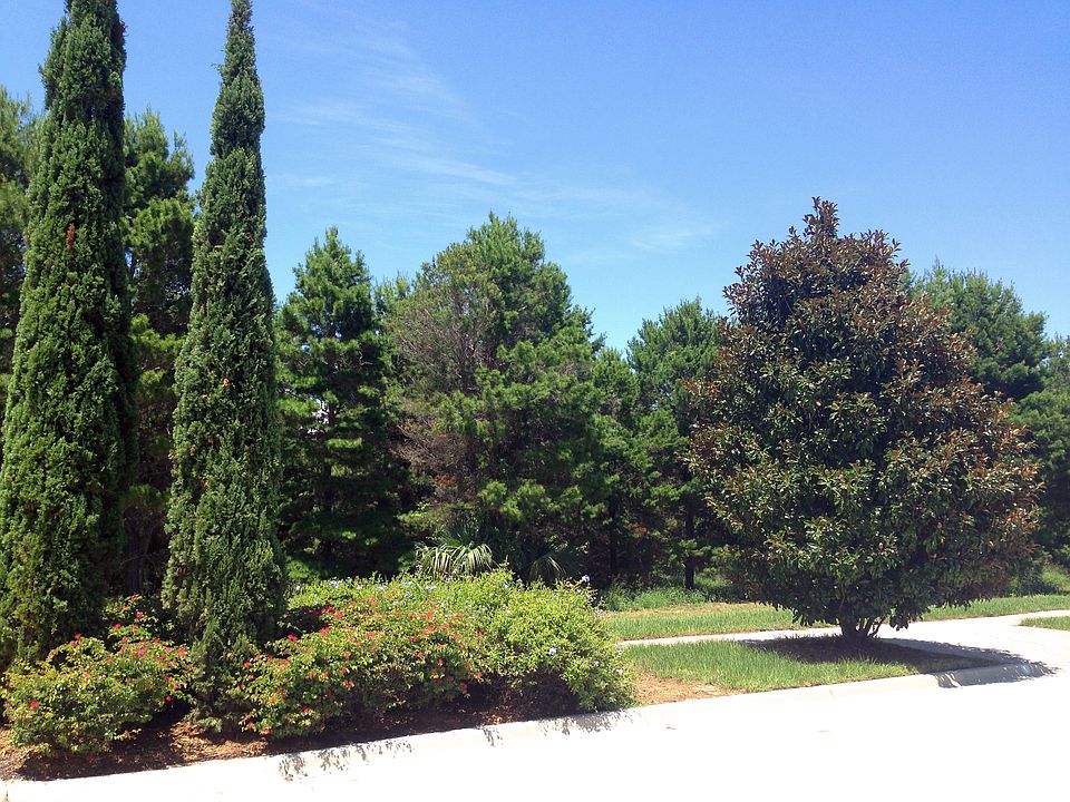 2nd image of 15129 Pendio Dr