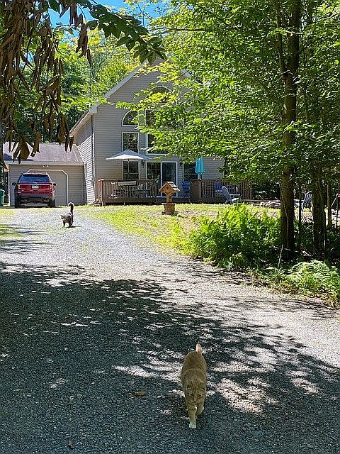 1st image of 132 Jean Danielson Dr