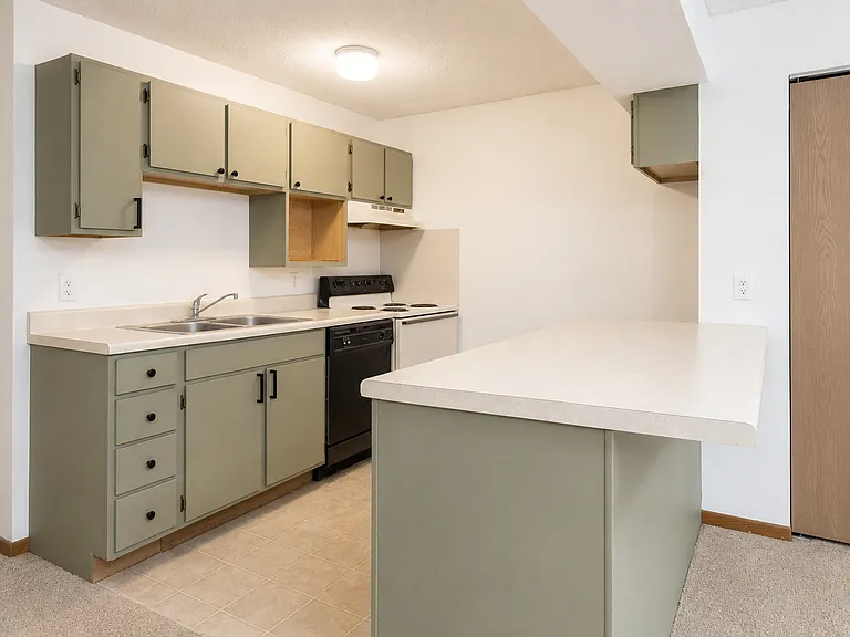 1011 5th Ave S #303 — Photo 3
