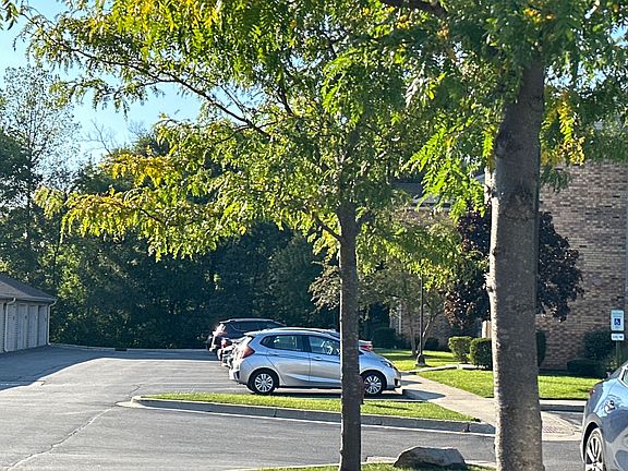 5th image of 1574 W Crystal Rock Ct