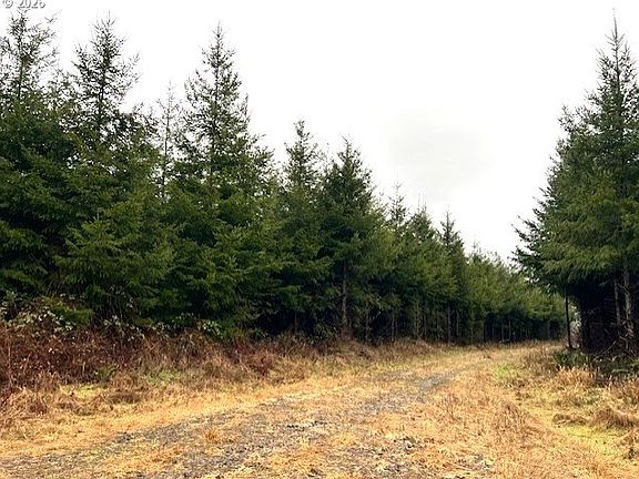 4th image of 76781 Palm Hill Rd