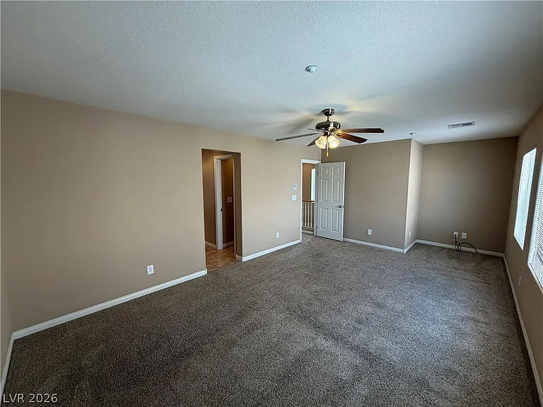 6657 Colorado Spruce St — Photo 11