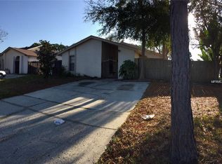 11001 Bottlebrush Pl, Tampa, FL 33624