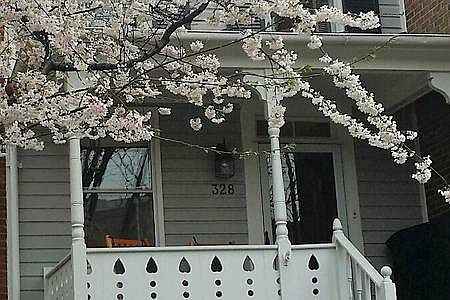 1st image of 328 S Alfred St