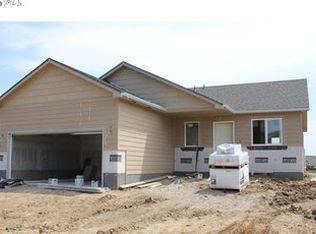 3707 Mount Ouray St, Wellington, CO 80549