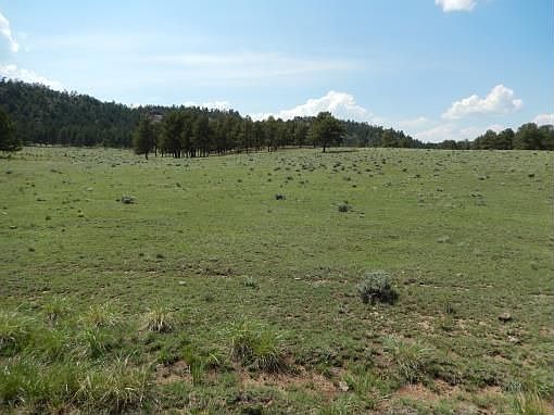2nd image of 7764 County Rd 11