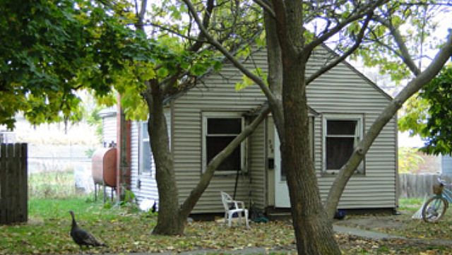 1st image of 508 E Washington Ave