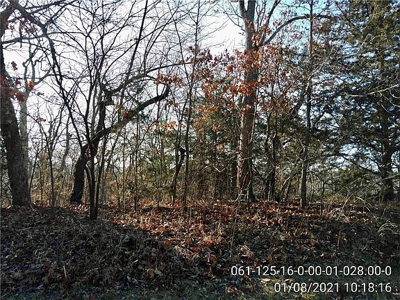 3rd image of 0 Pine Dr