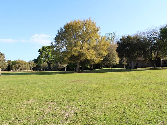 View from behind pond
