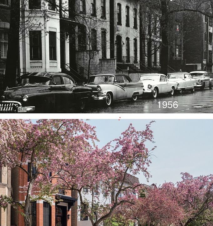 2nd image of 1823 N Lincoln Park W