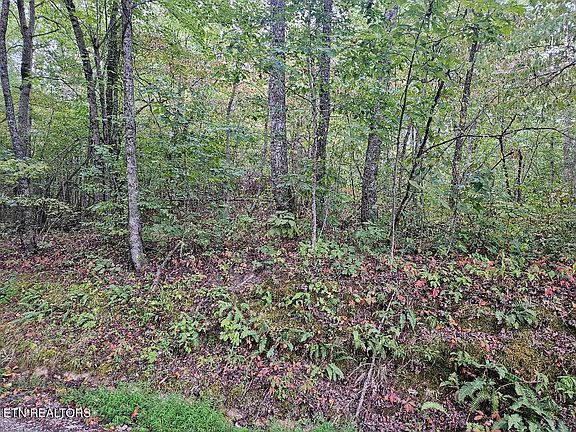 4th image of Sells Cemetery Rd