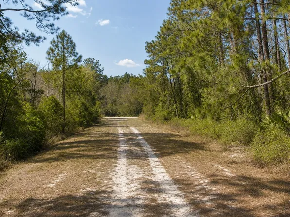 306 Carteret Rd, Georgetown, FL 32139