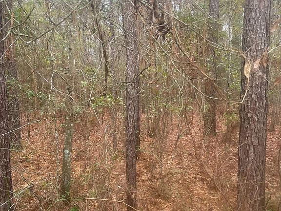 2nd image of 111 High Way