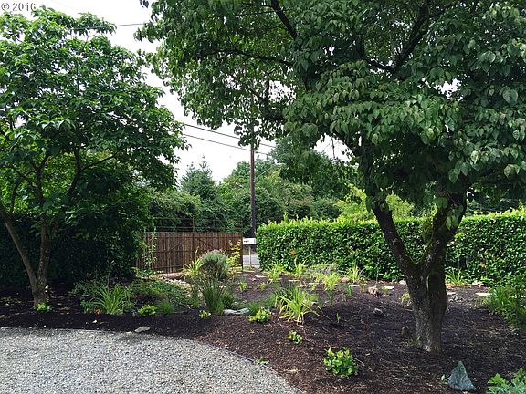 Front Landscaping