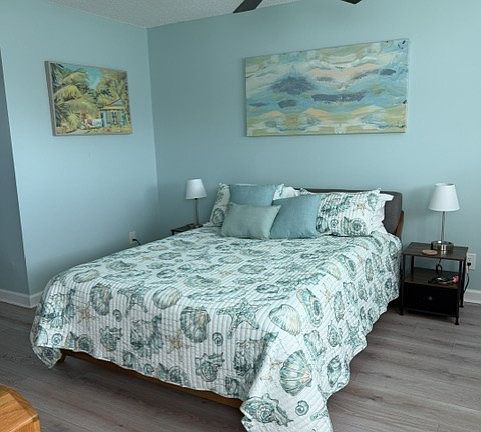 Primary bedroom with queen bed.