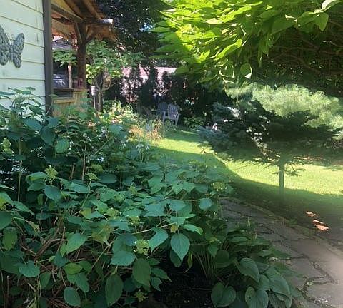4th image of 1806 Parkhurst Ave
