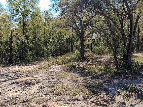 4th image of 213 Hannon Mill Rd