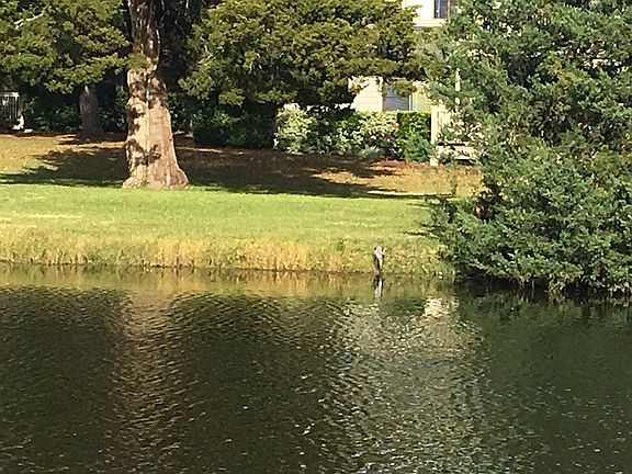 Lake view 