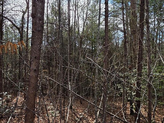 5th image of 10 Kerlee Ln
