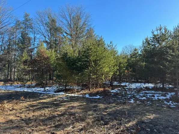 PARCEL Arquilla Crk #D, Harrietta, MI 49638