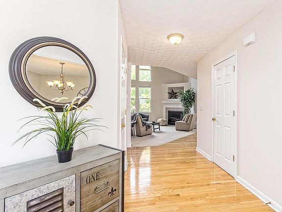 Entry_8139 Shady Maple