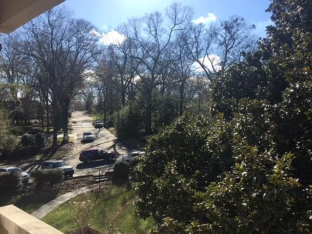 1 bed, 800 sqft, $1,200 — Photo 2