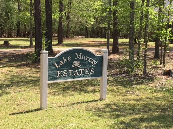 0 Ruby Riser Rd, Batesburg, SC 29006