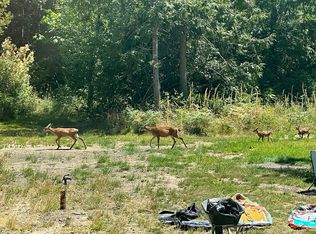 312 E McMickin Rd, Shelton, WA 98584