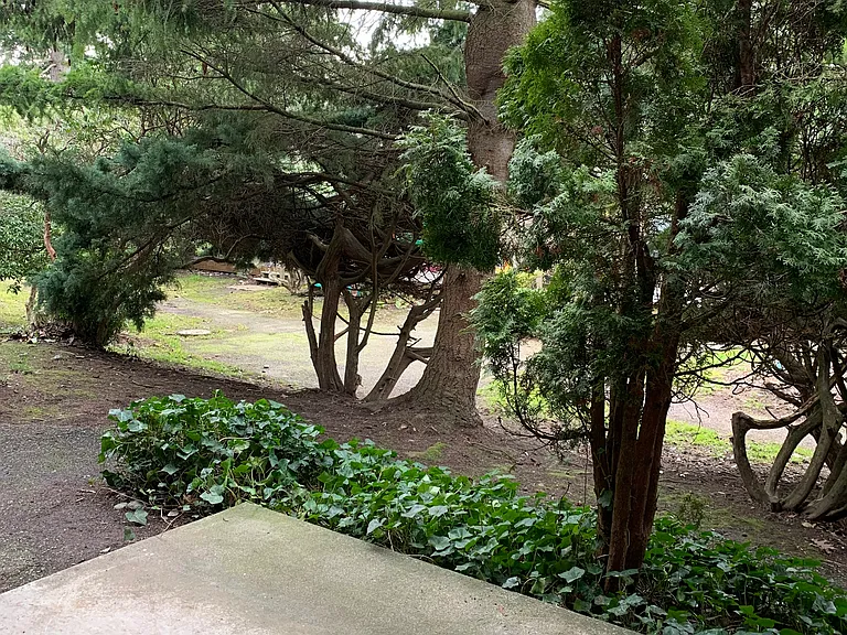 Foothills Apartments — Photo 18