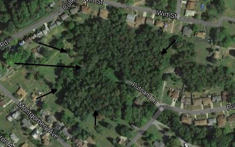 1st image of 403 Putnam Ln