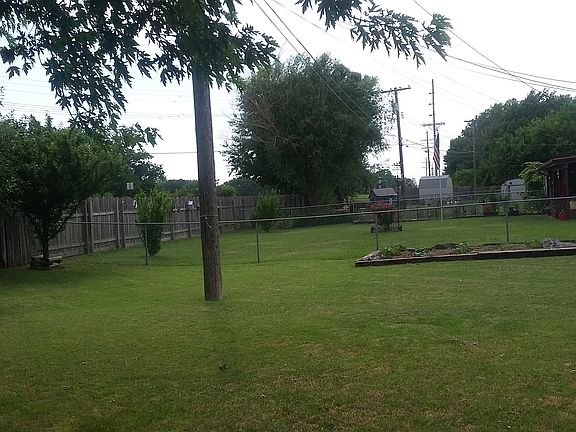 Garden, Apple and plum trees