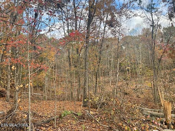5th image of 0 Cedar Grove Rd