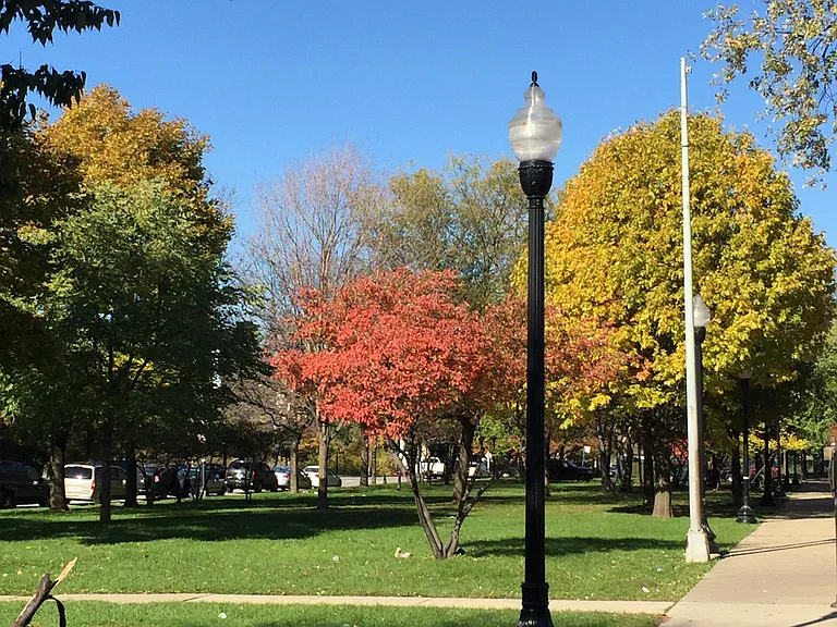 The boulevard is part of Chicago's 'green necklace' which dates to the 1880s.