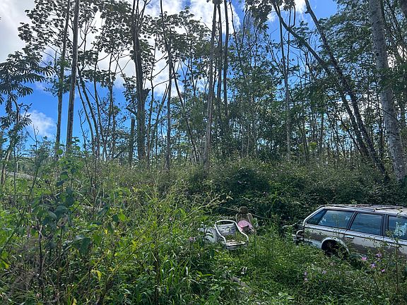 3rd image of Plumeria Rd Lot 172