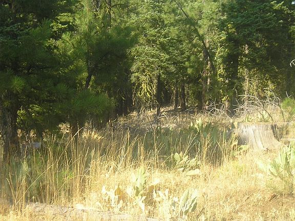 Perfect for RVs or Camping!