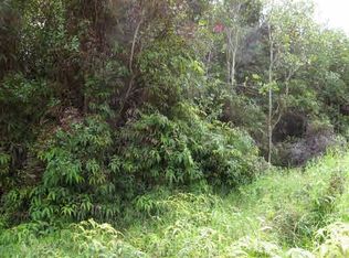 Road 13 LOT 832, Volcano, HI 96785