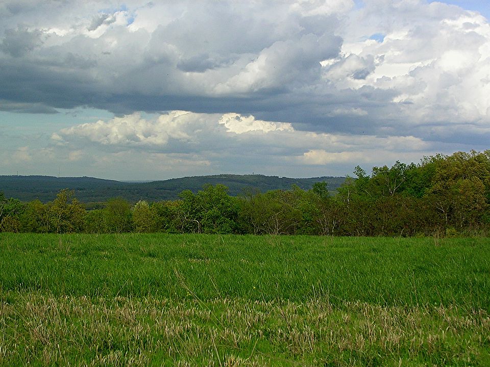 1st image of Tony Mountain Road