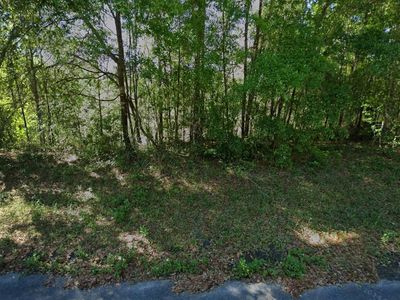 212 Dolphin Circle, Middleburg, FL, 32068
