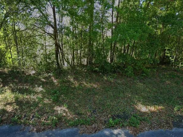 212 Dolphin Circle, Middleburg, FL 32068