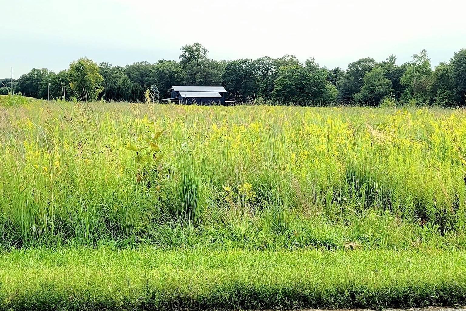 W 700 N Land, Delphi, IN 46923 | MLS #202535971 | Zillow