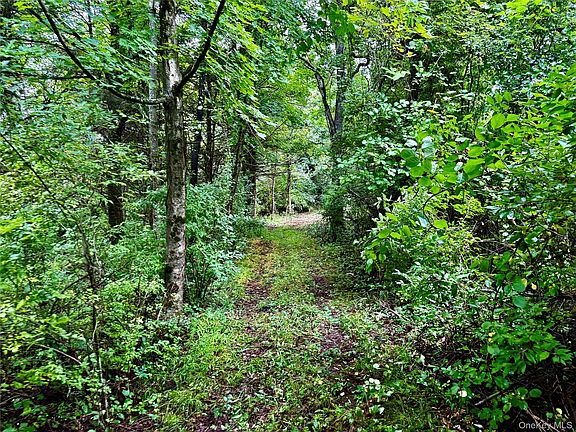 5th image of 150 Weaver Road