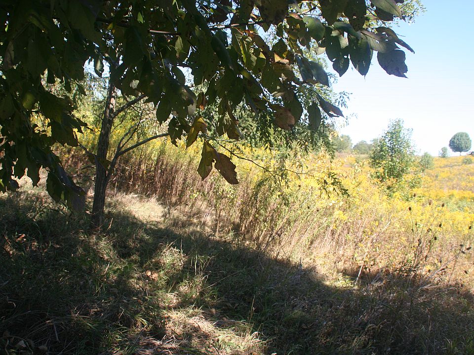 2nd image of Lot Mt Pleasant Rd