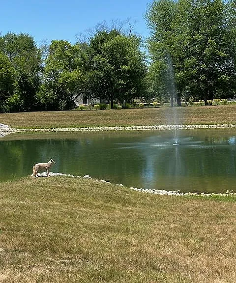 Community lake.