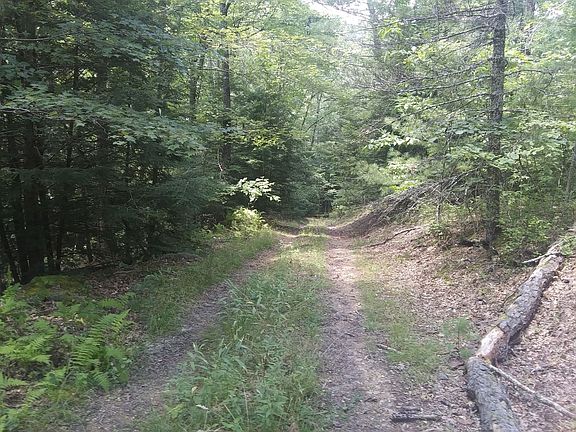 4th image of 13289 Potomac Highlands Trl