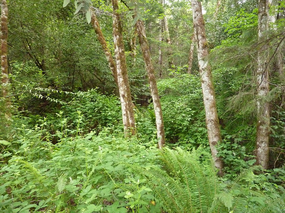 1st image of 40 Acres Clirliah Creek None