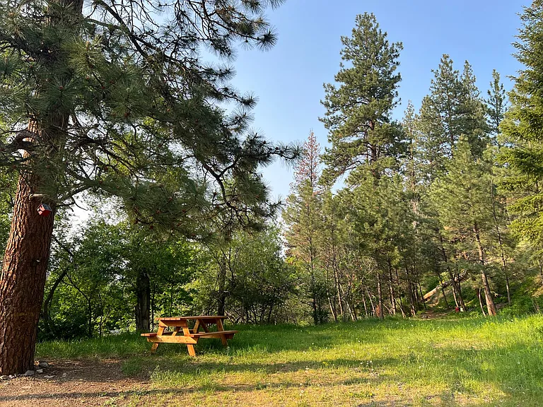 back yard for 8 units to share